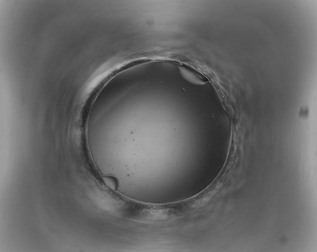 X0000090430295200707272137