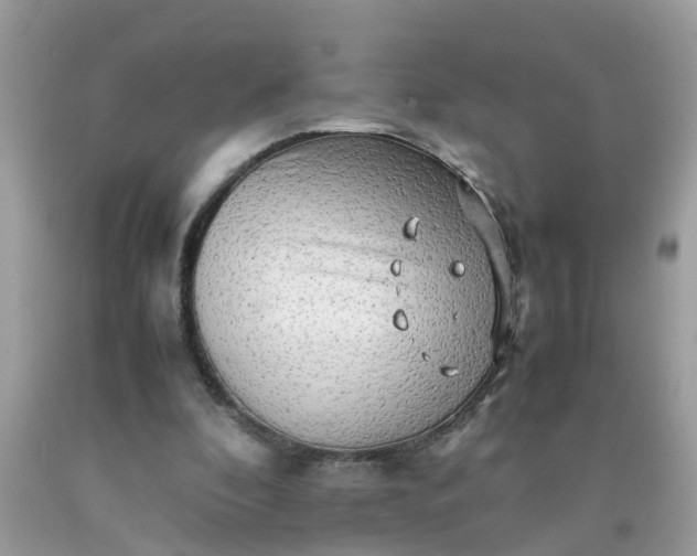 X0000090430296200707272137