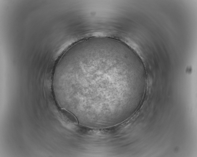 X0000090430297200707272137