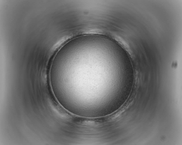 X0000090430298200707272137