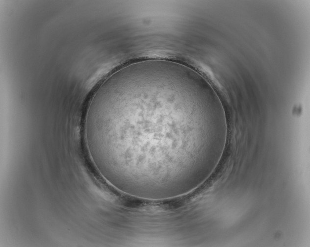 X0000090430299200707272137