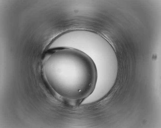 X0000090430301200707272137