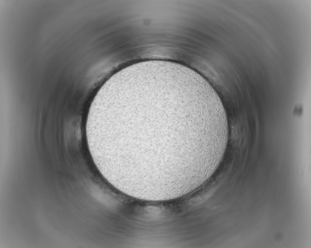 X0000090430302200707272137