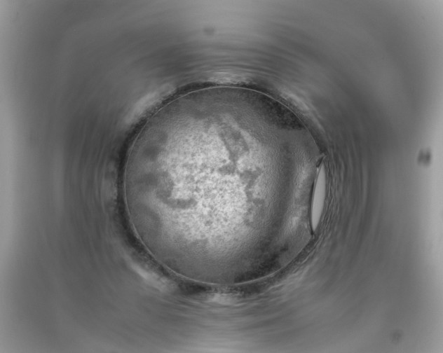 X0000090430303200707272137