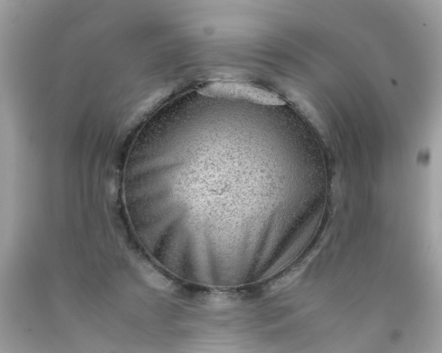 X0000090430305200707272137