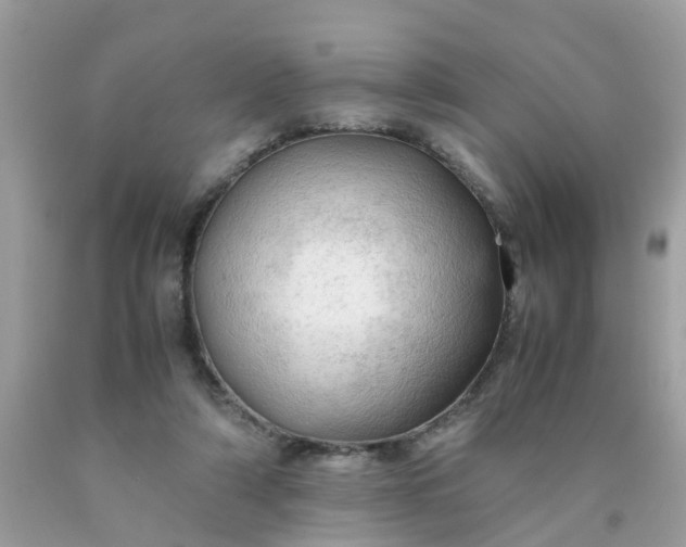 X0000090430306200707272137