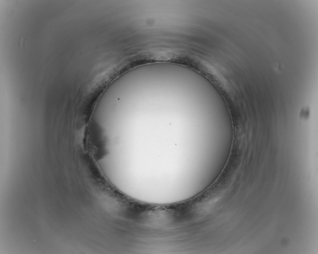 X0000090430307200707272137