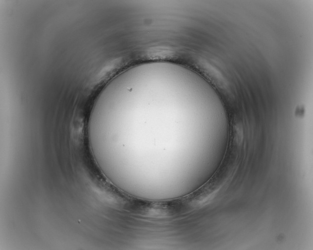 X0000090430308200707272137