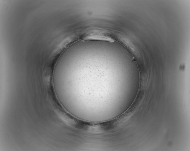 X0000090430309200707272137