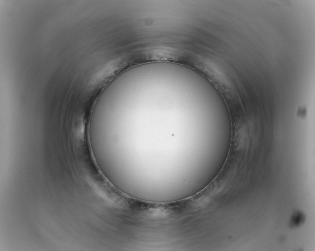 X0000090430310200707272137