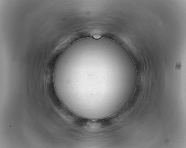 X0000090430311200707272137