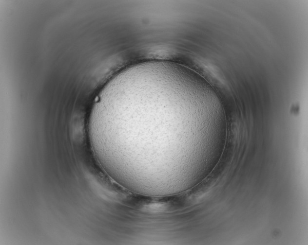 X0000090430312200707272137