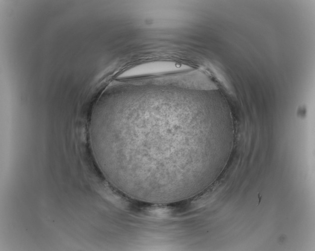 X0000090430313200707272137