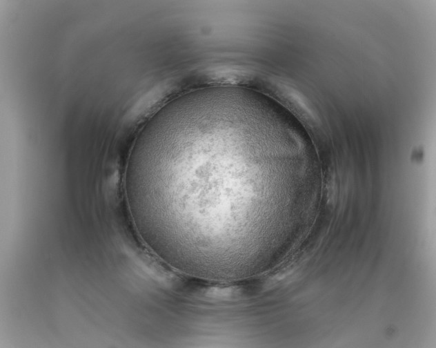 X0000090430314200707272137