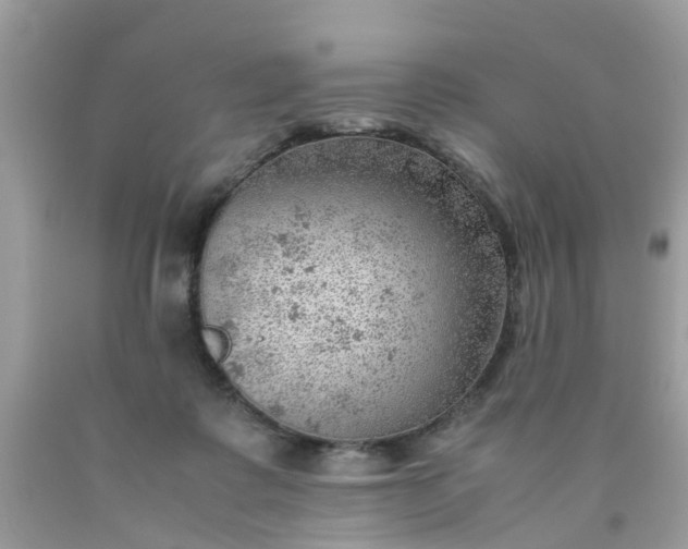 X0000090430315200707272137