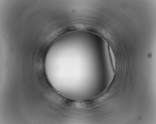 X0000090430317200707272137