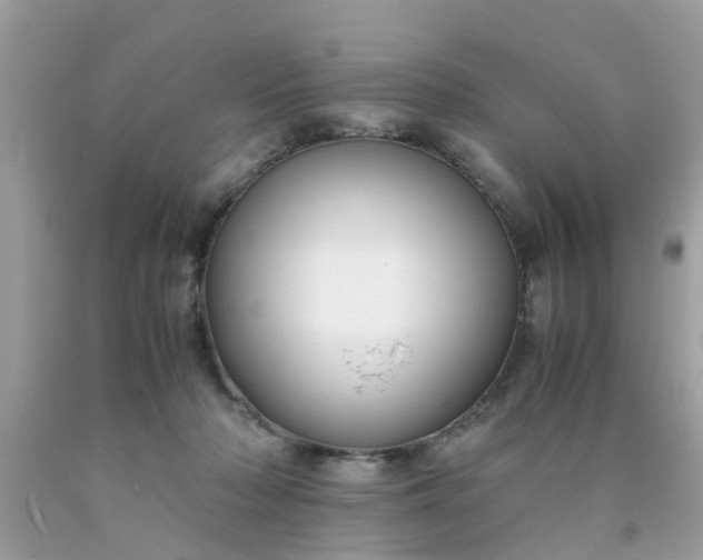 X0000090430318200707272137