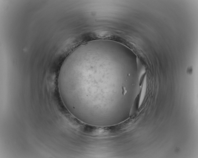 X0000090430319200707272137