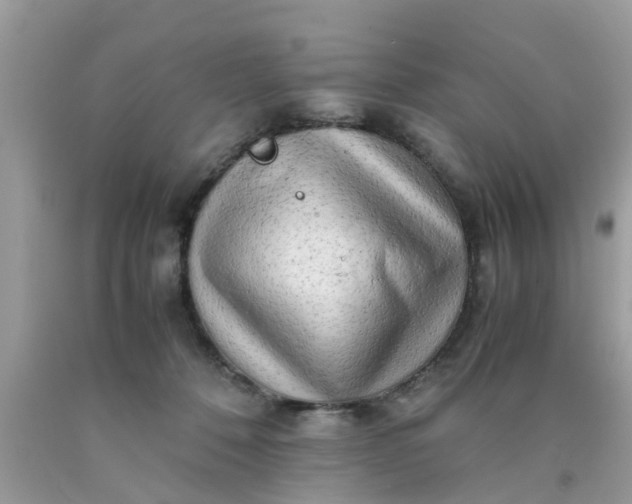 X0000090430320200707272137