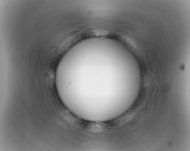 X0000090430321200707272137