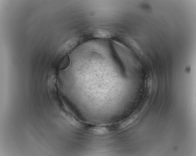 X0000090430322200707272137