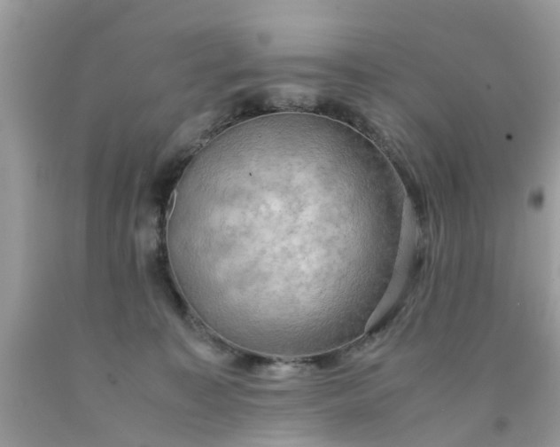 X0000090430323200707272137