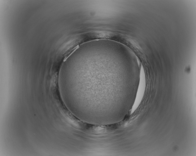 X0000090430325200707272137