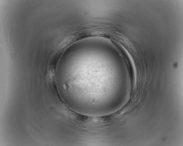 X0000090430329200707272137