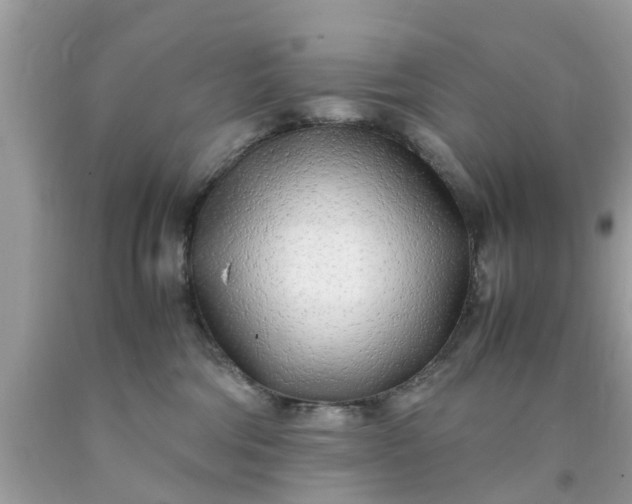 X0000090430330200707272137