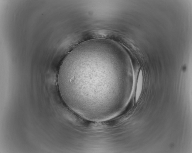 X0000090430331200707272137