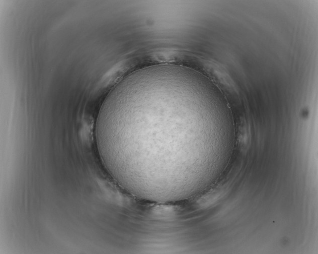 X0000090430332200707272137