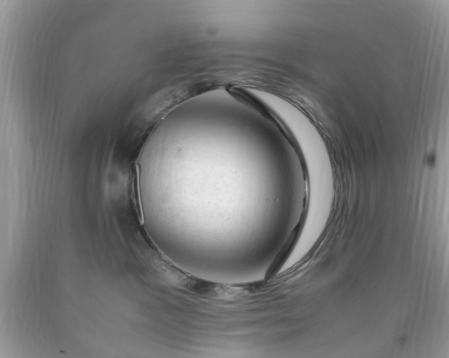 X0000090430333200707272137