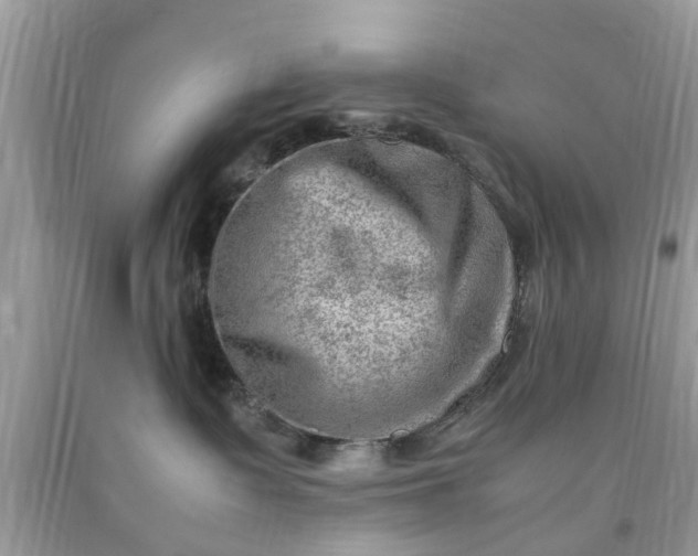 X0000090430335200707272137