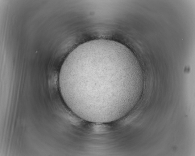 X0000090430336200707272137