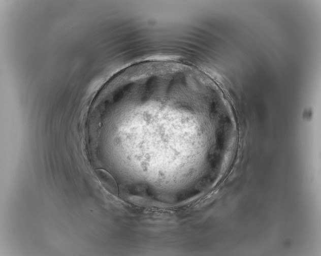 X0000090430337200707272136