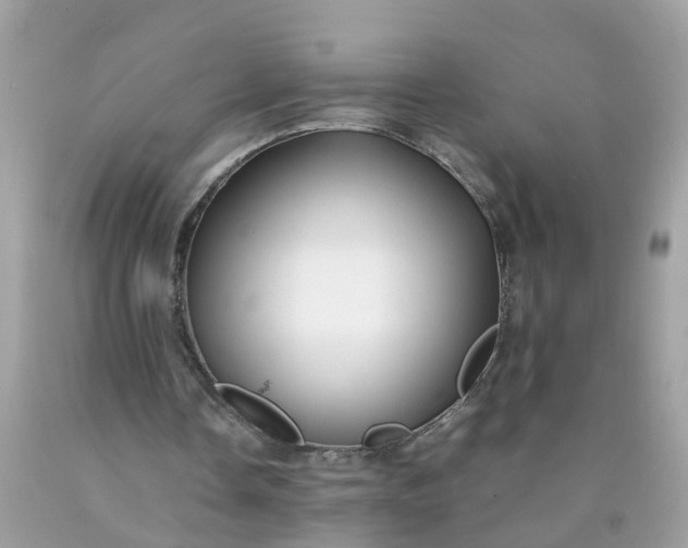 X0000090430338200707272136