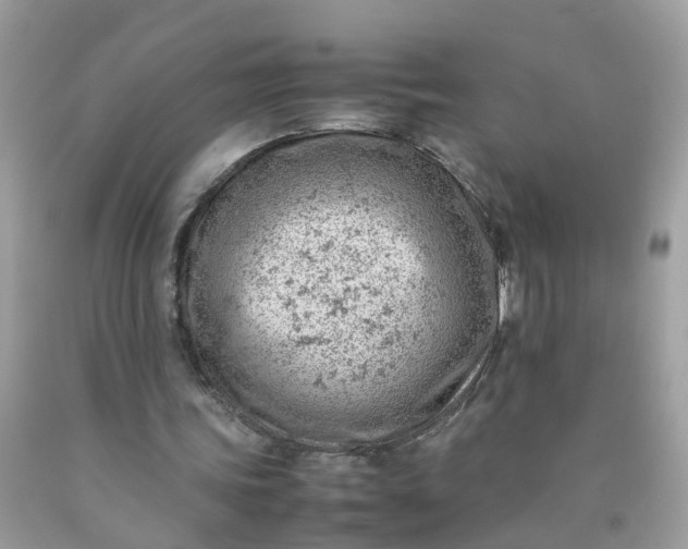 X0000090430339200707272136