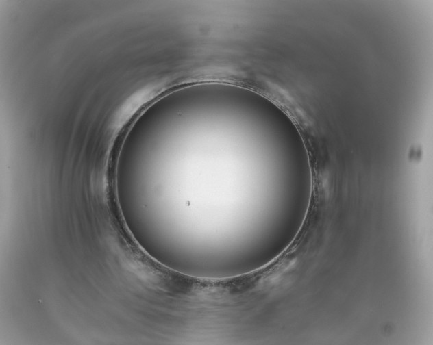 X0000090430340200707272136