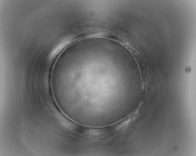 X0000090430341200707272136