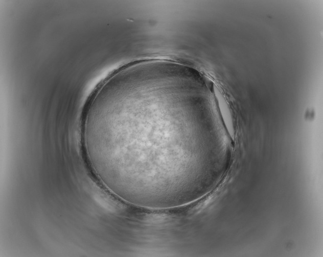 X0000090430342200707272136