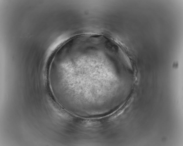 X0000090430343200707272136