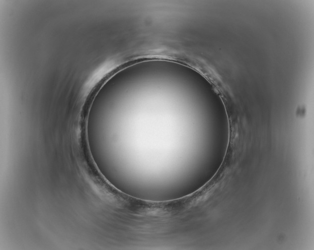 X0000090430344200707272136