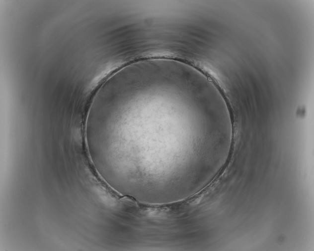 X0000090430345200707272136