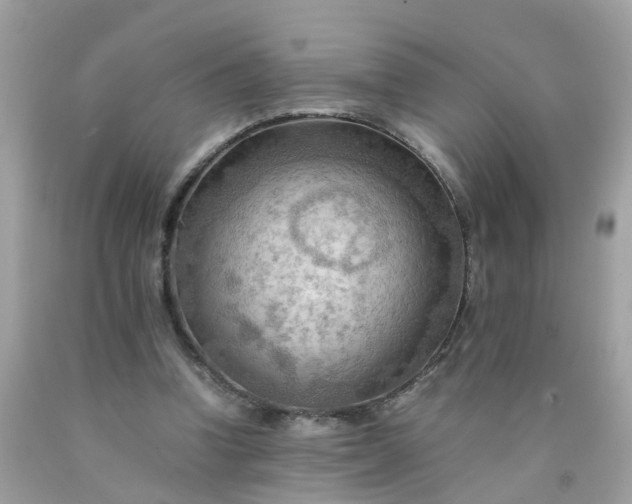 X0000090430346200707272136