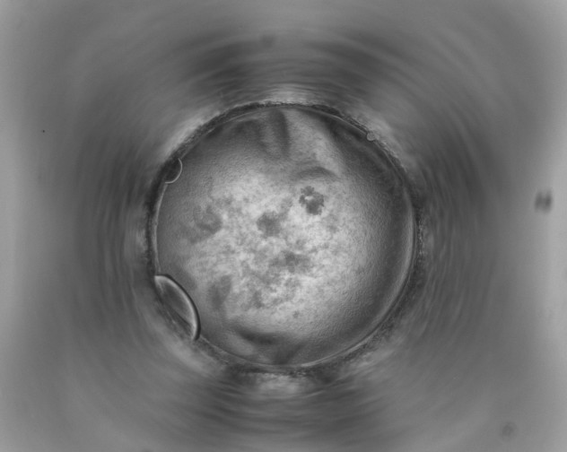 X0000090430347200707272136