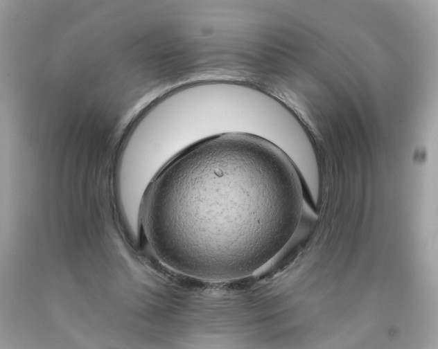 X0000090430348200707272136