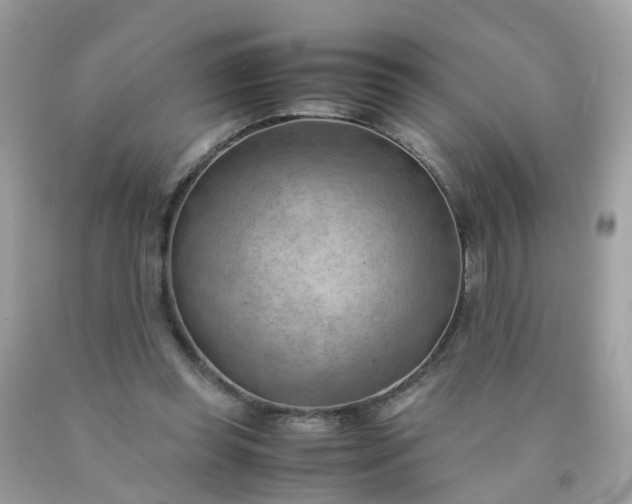 X0000090430349200707272136