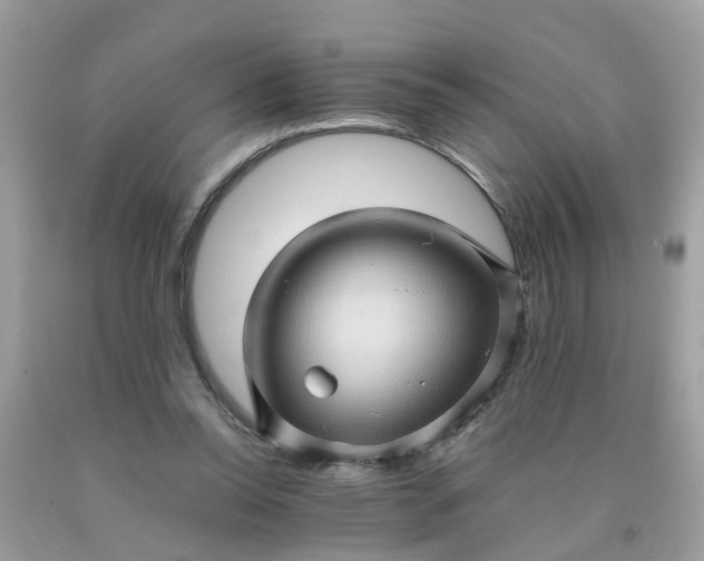 X0000090430350200707272136