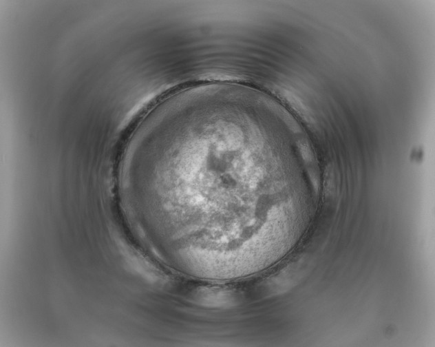 X0000090430351200707272136