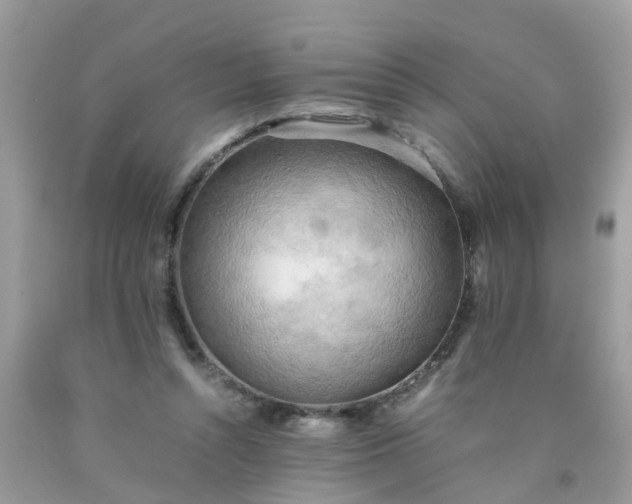 X0000090430352200707272136